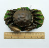 Crab Aquarium Decorations